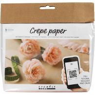 Creativ Company - CC Creatieve Mini Hobbyset Crêpepapier Bloemen Anjers - #591355