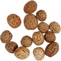 Creativ Company - CC Noten 15-25 mm 25 gr - #588969