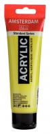 Royal Talens - Talens Amsterdam acrylverf 120 ml 243 - Groengeel - #597345