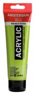 Royal Talens - Talens Amsterdam acrylverf 120 ml 617 - Geelgroen - #597486