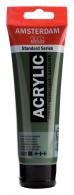 Royal Talens - Talens Amsterdam acrylverf 120 ml 622 - Olijfgroen Donker - #597102
