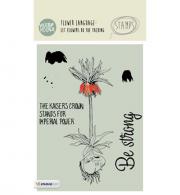 Stamp A6 Basics Veer &amp; Moon nr.11 - #554010